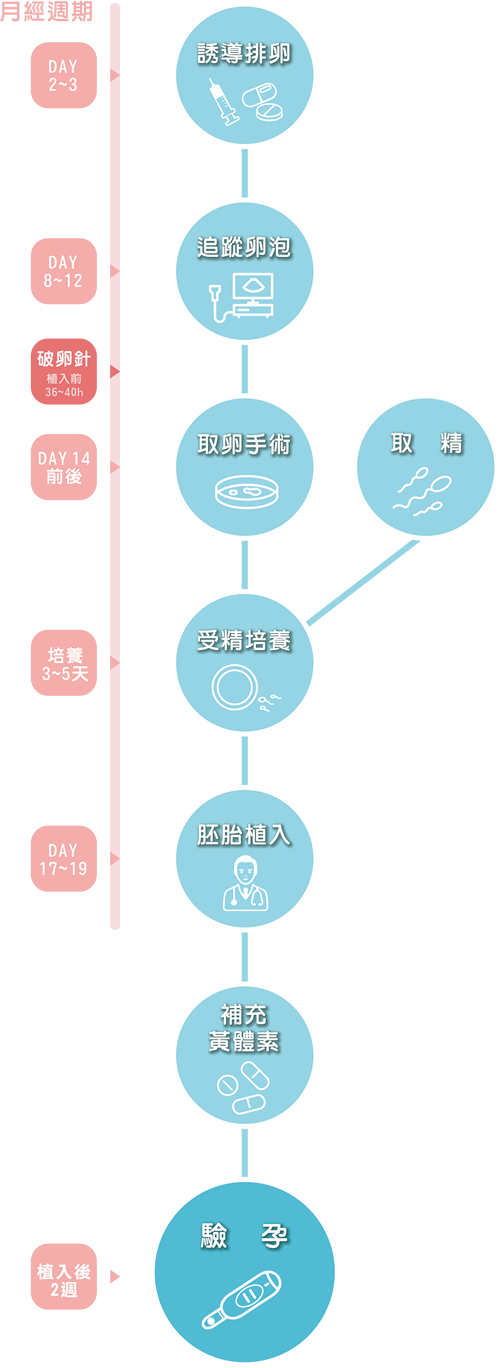 微試管Mild IVF流程